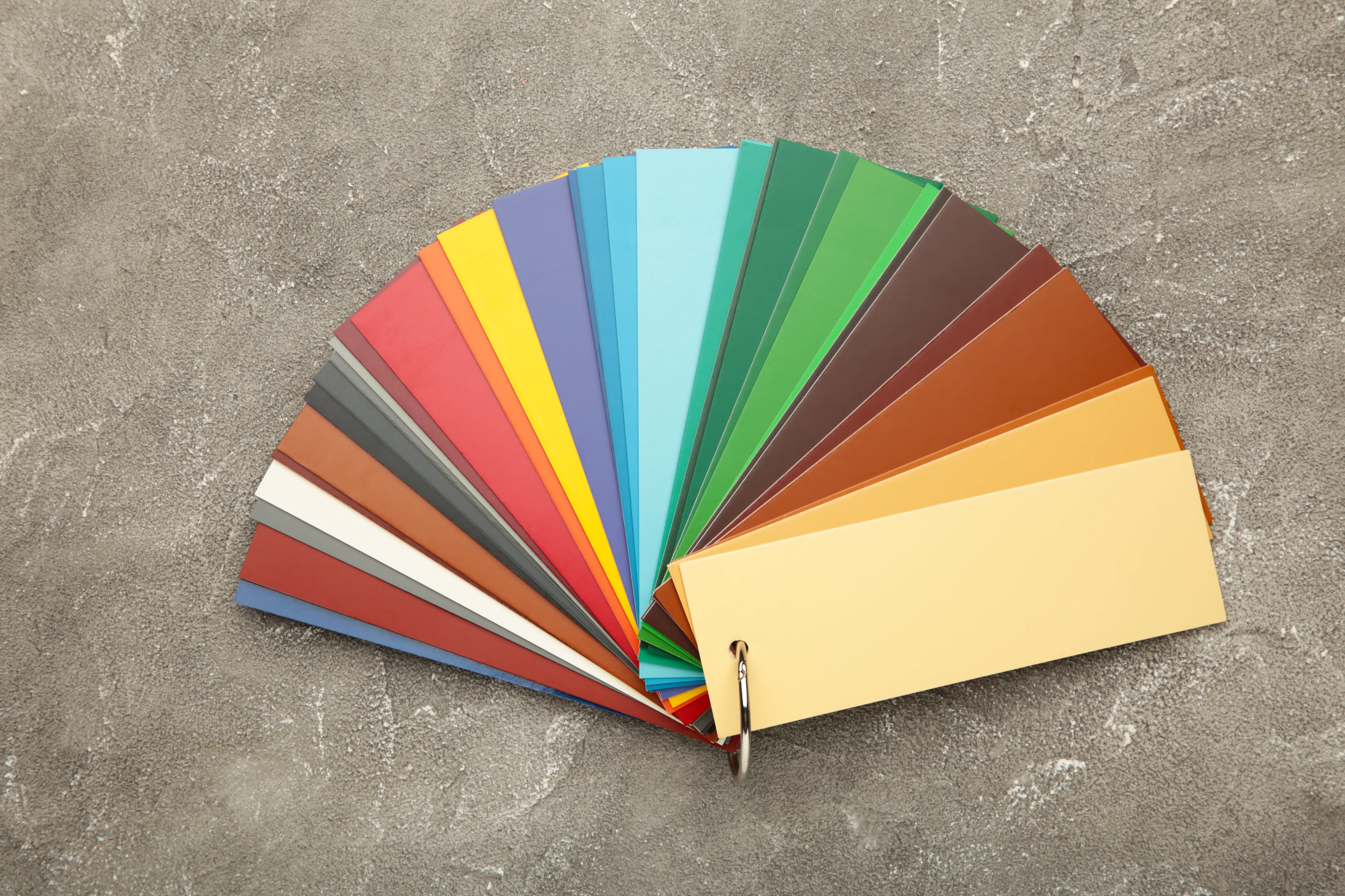 Pantone Renk Nedir ve Ne İşe Yarar? - Vevoxi