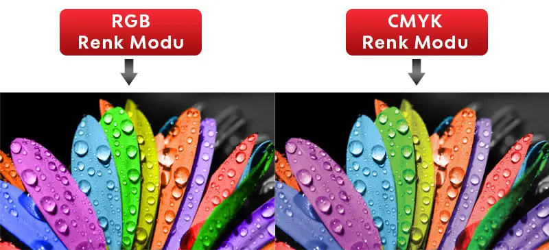 CMYK ve RGB Arasındaki Fark Nedir? - Vevoxi